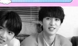 小贺爆料张真源视频,真相即将揭晓