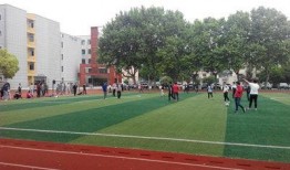 江苏职校爆料新闻,揭秘校园内幕，真相令人震惊！